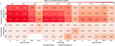 The effect of tooth cusp morphology and grinding direction on TMJ loading during bruxism